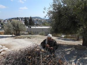 Nazareth Village (2) (Medium)